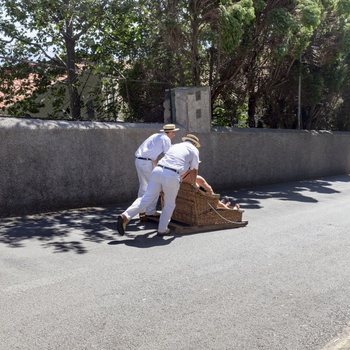 Kurveslædetur mellem Monte og Funchal