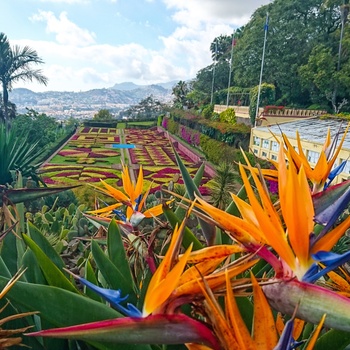 Jardim Botanico - Madeira