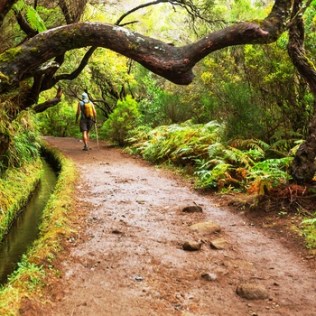 Levada på Madeira