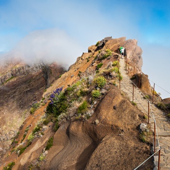 Vandring - Madeira