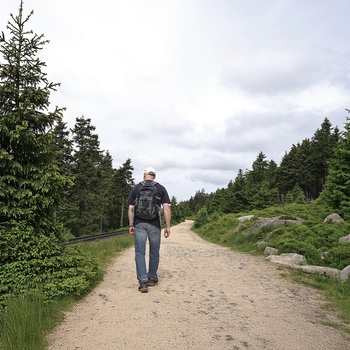 Foto: Mand på vandretur på Goetheweg ved foden af ​​Brocken i Harzen National Park - © FDM Travel, Shutterstock