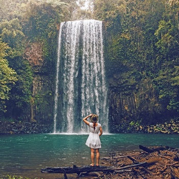 Millaa Millaa Falls i Atherton Tablelands i Queensland 