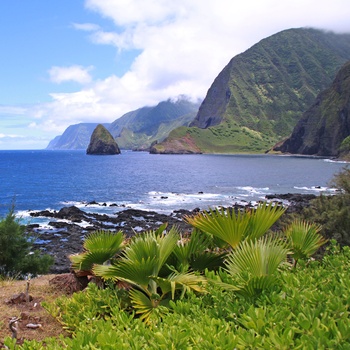 Øen Molokai - Hawaii