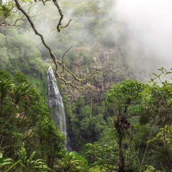 Morans Falls i Lamington National Park, Queensland
