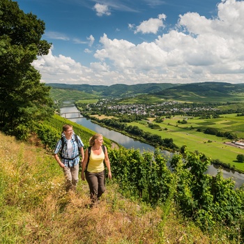 Eurohike Moselsteig-Wein-Wanderer-2.jpg