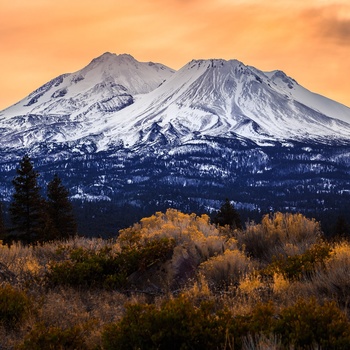 Mount Shasta