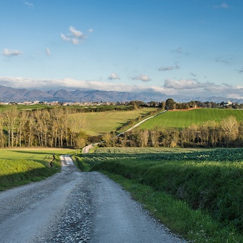 Grusvej i Mugello-området med Appeninerne i baggrunden, Toscana - Italien