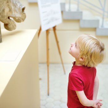 Lille drang kigger på kunst i et museum