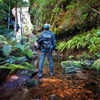 Vandreruten Scenic Walkway i Blue Mountains - New South Wales