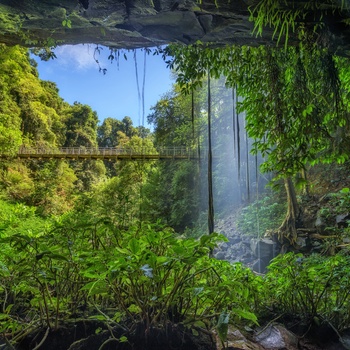 Crystal Shower Falls i regnskoven Dorrigo National Park - New South Wales
