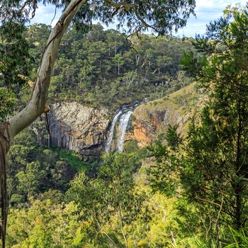 Vandfaldet Ebor Falls i Guy Fawkes River National Park - New South Wales