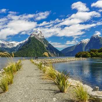 Vandresti i Milford Sound - Sydøen i New Zealand