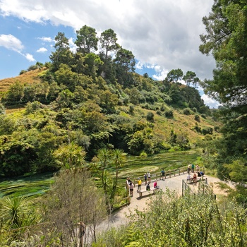 Turister nyder Blue Spring og Te Waihou Walkway - Nordøen i New Zealand