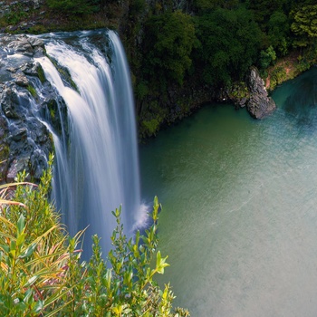 Vandfaldet Whangarei Falls på New Zealands Nordø