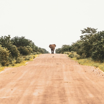 Velkommen til Afrika - Namibia - Foto: Eelco Bohtlingk, Unsplash