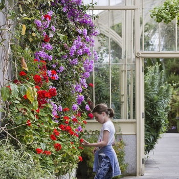 National Botanic Garden, Glasnevin