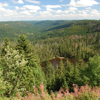 Nationalpark Schwarzwald. Udsigt over Wildersee © Charly Ebel