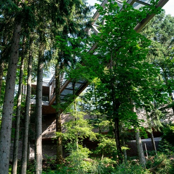 Nationalparkzentrum Ruhestein i Schwarzwald - © D. Mueller