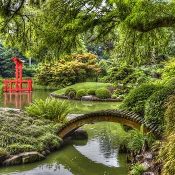 Den japanske have i den botaniske have i Brooklyn, New York