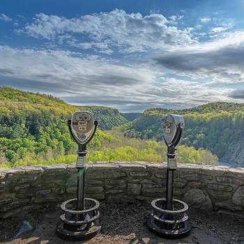 Udsigt ud over skoven i Letchworth State Park , New York State