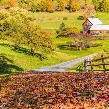 Vej gennem efterårslandskabet i Vermont, USA