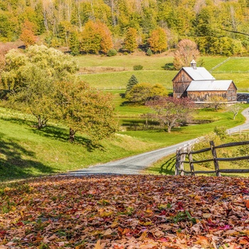 Vej gennem efterårslandskabet i Vermont, USA