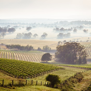 Hunter Valley i New South Wales