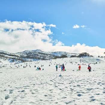 På ski om vinteren i Snowy Mountains, New South Wales i Australien