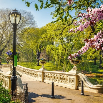 Central Park om foråret, New York