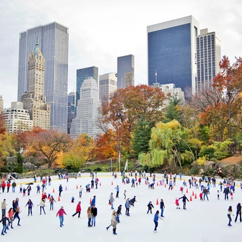 Central Park om vinteren, New York