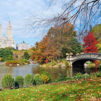 Efterår i Central Park, New York