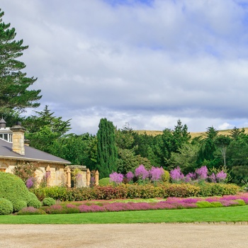 Den smukke have ved Larnach Castle i Dunedin, New Zealand