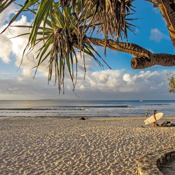 Surfere på Noosa Beach i Queensland, Australien