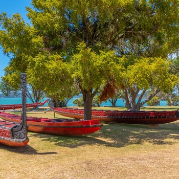 Udskåret maori-kanoer ved Waitangi Treaty Grounds på Nordøen i New Zealand