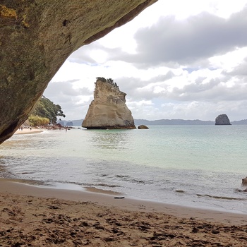 Cathedral Cove på Coromandel-halvøen - Nordøen i New Zealand