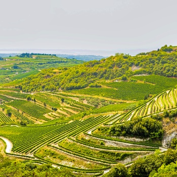 Vinområdet Valpolicella nær Gardasøen i Norditalien