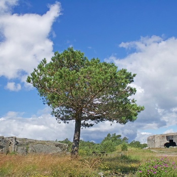 Kristiansands Kanonmuseum, Norge