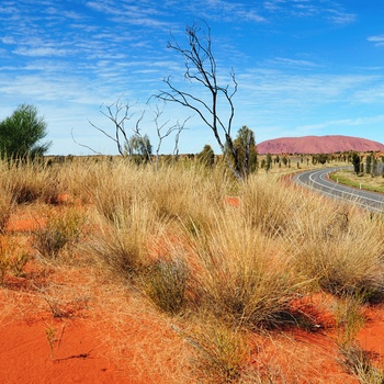 Vej gennem Northern Territory og mod Ayers Rock - Australien