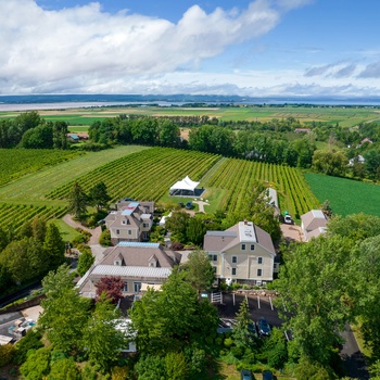 Vingården Domaine de Grand Pré, Nova Scotia i Canada - © Domaine de Grand Pré