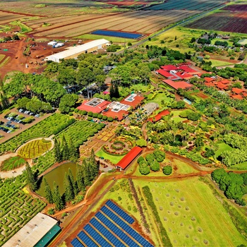 Dole Plantation - ananas plantage på Oahu - Hawaii