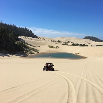 Beach Bygge i Oregon Dunes sandklitter