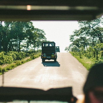 På vej mod Kruger fra Hazyview i Sydafrika - Foto: AnnaKate Auten, Unsplash