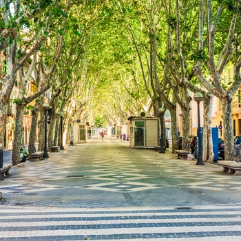 La Rambla - en bred boulevard i Palma de Mallorca, Spanien