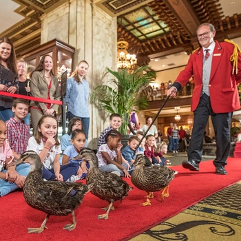 Peabody Hotel i Memphis - ducks march