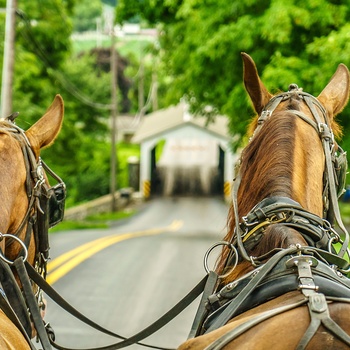 På tur i hestevogn med en fra Amish-folket, Pennsylvania i USA