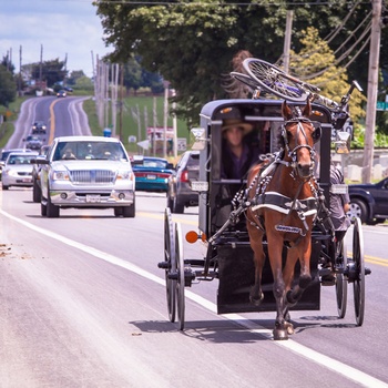 Amish med hestevogn nær Lancaster i Pennsylvania, USA