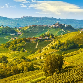 Vinområdet Barbaresco i Piemonte, Norditalien