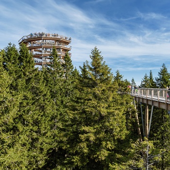 Pohorje Treetop Walk - udsigtstårn og gangbro i træerne i Pohorje-bjergene, Slovenien