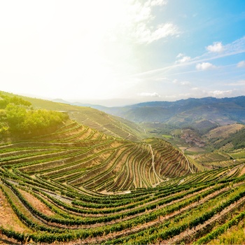 Douro-dalen i Portugal