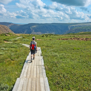 Hiker i Gaspésie National Park, Quebec i Canada